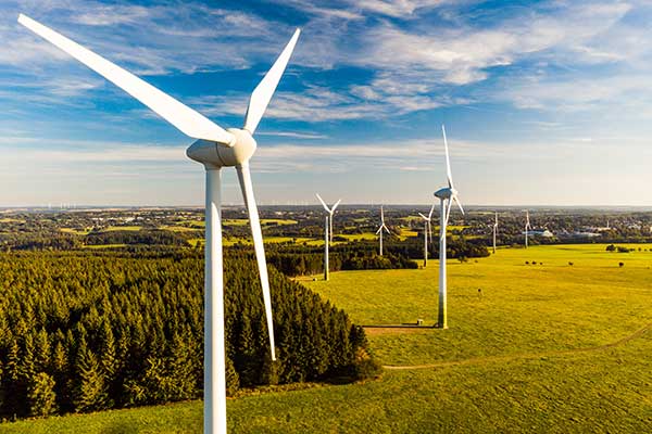 Windpark in grüner Landschaft